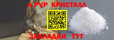 прущие грибы Пенза