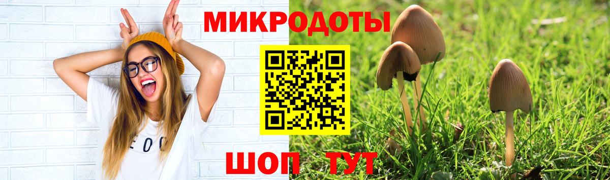 как найти закладки  Псилоцибиновые грибы ЛСД  Самара  Вход с VPN  Псилоцибиновые грибы MAGIC MUSHROOMS 